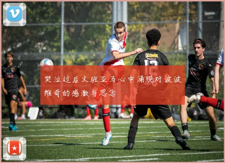哭泣过后文班亚马心中涌现对波波维奇的感激与思念